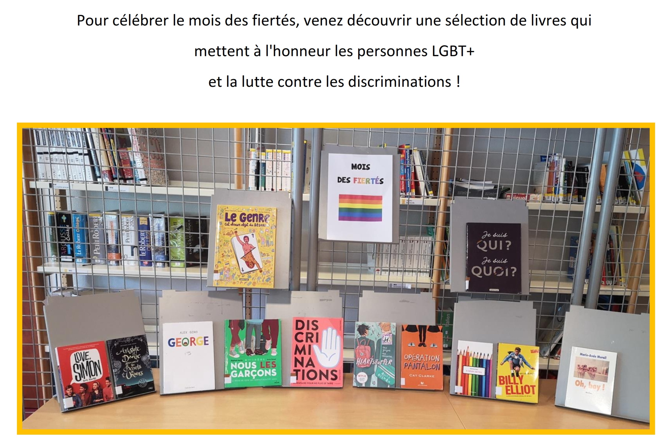 Pour célébrer le mois des fiertés 001