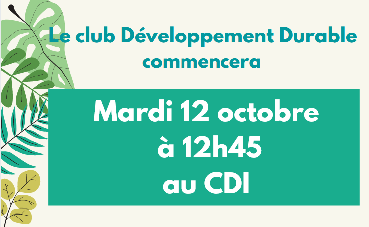 Club DD