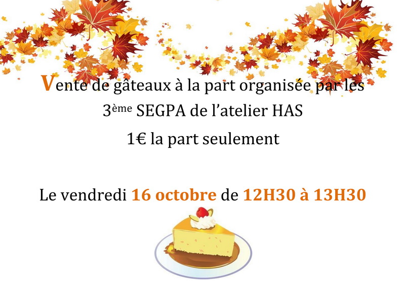 segpa vente16oct2020