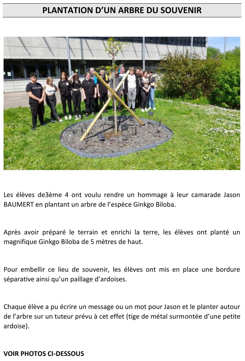 Arbre Jason page 1 001 redimensionner