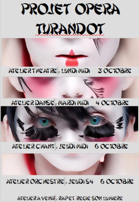 affiche site