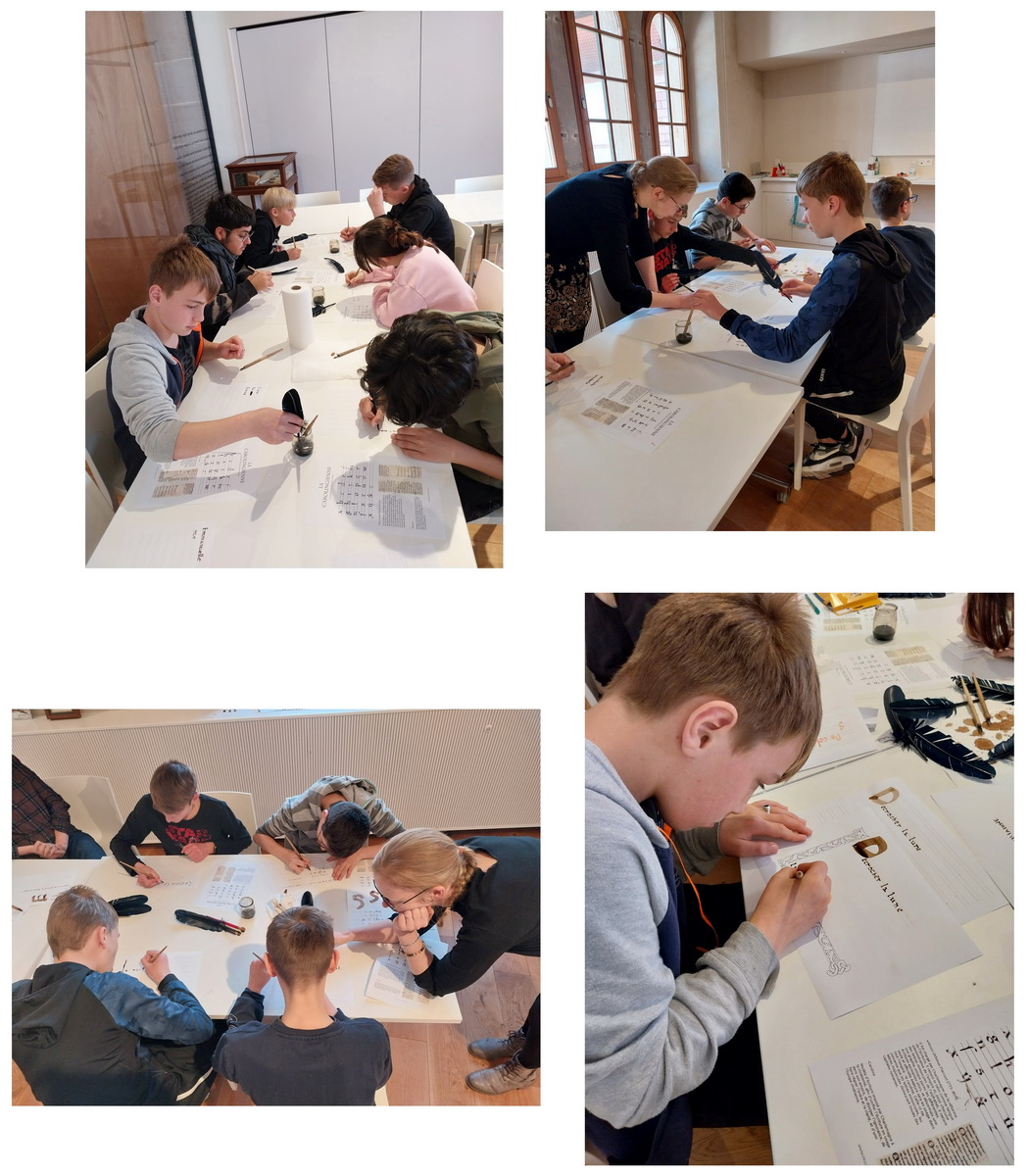 5e4 Selestat SITE 003 redimensionner