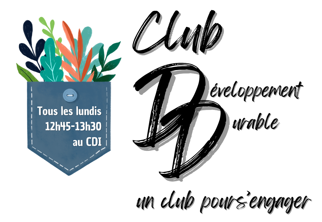 TV Club DD