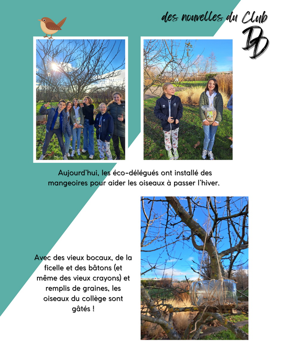Copie de Club 001 redimensionner