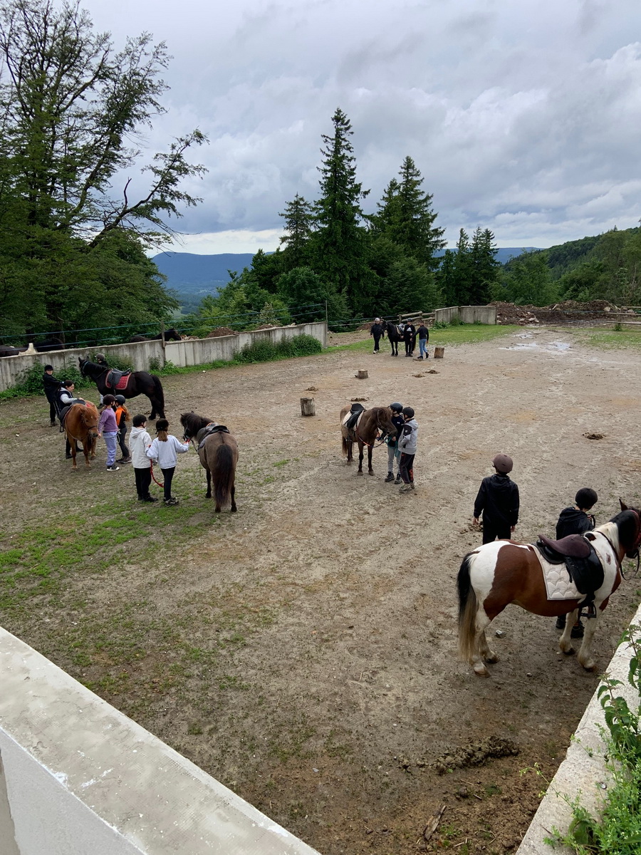 champ feu J3 12 redimensionner