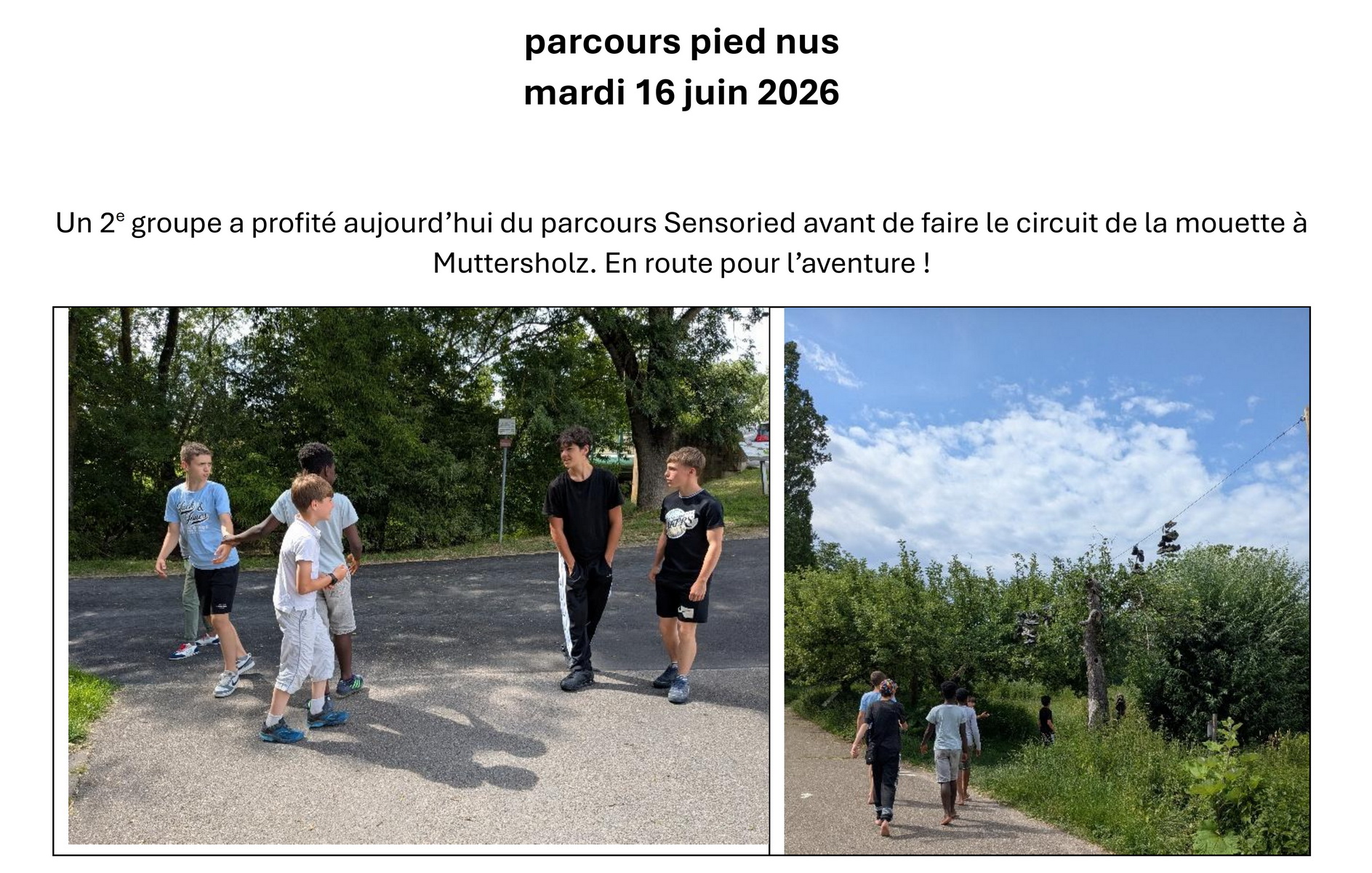 Sensoried 16juin2026 001 redimensionner