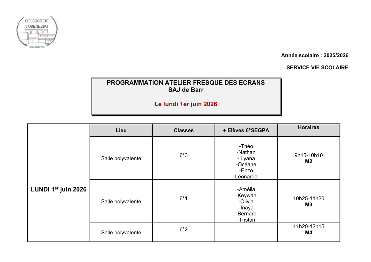 Programmation atelier Fresque des écrans 1er juin 2026 SAJ 1 001 redimensionner