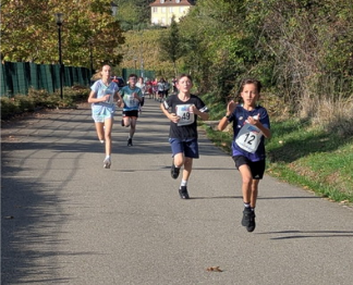 cross2026