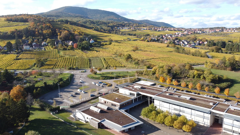 coeur vignoble1 redimensionner